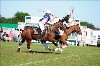 UKPA NC SAT_2155